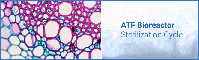 Your Guide to the ATF Bioreactor Sterilization Cycle